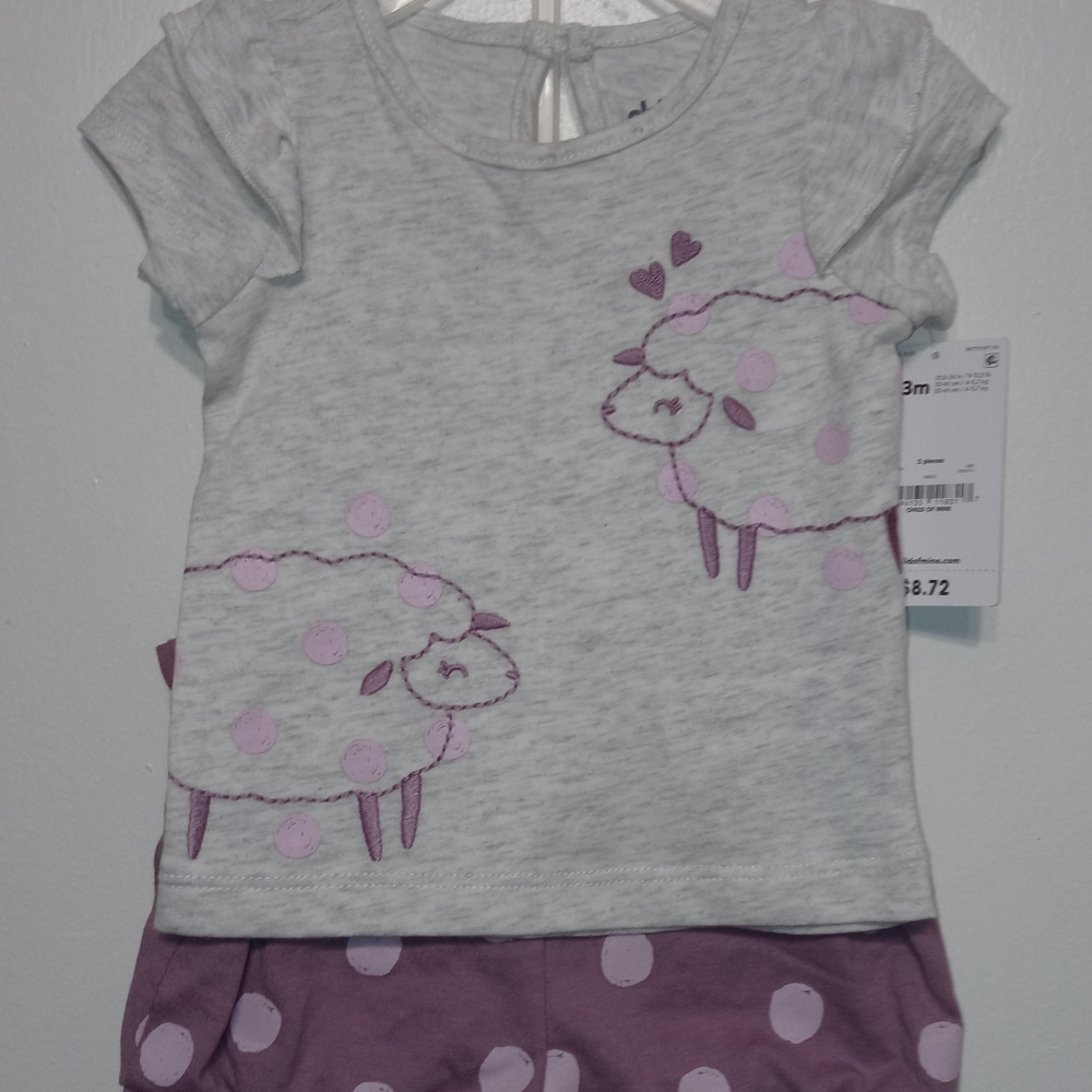 NWT Carter's 2 piece Outfit